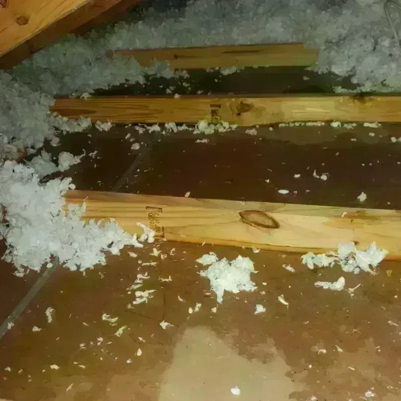 Attic Water Damage in Rosemount, OH