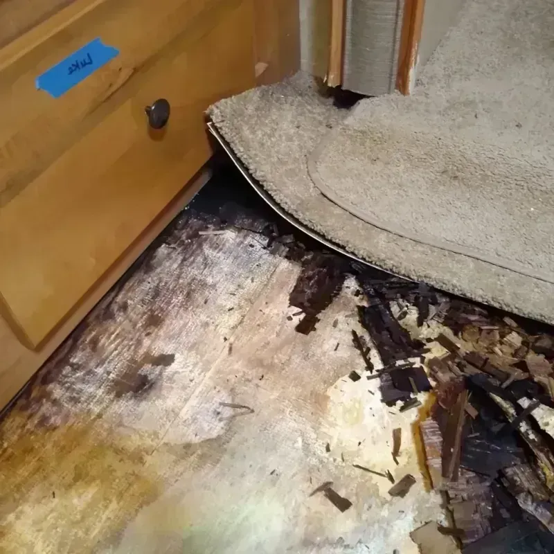 Wood Floor Water Damage in Rosemount, OH